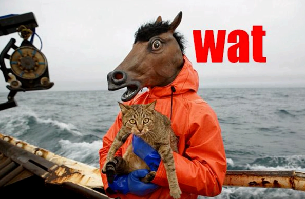 A horse on a boat on the ocean holding a kitten
